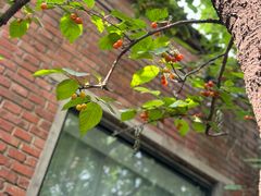 -boundaries籬苑(瑞光创意工厂-贰号院店)