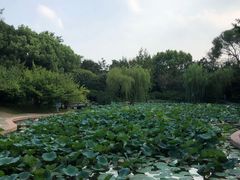 -上海市龙华烈士陵园