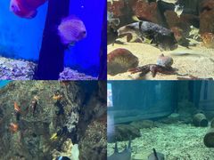 -福州罗源湾海洋世界旅游区