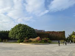 -芒洲湿地公园