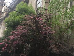 -武汉冠生園(吉庆街店)