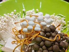 -东来顺铜锅炭火涮肉(上地华联店)