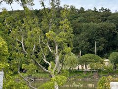 -狼山风景名胜区