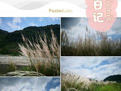 -海窝子古镇