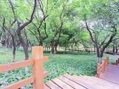 -长春公园(普阳街道)