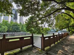 -成都市活水公园