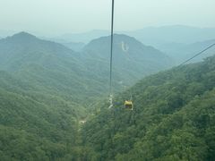 -栾川竹海野生动物园