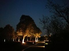 -九里河湿地公园
