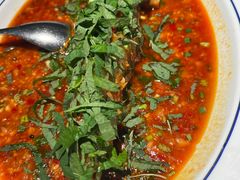 -南堂馆·新川菜(春熙路店)