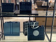 -COACH蔻驰(盛京奥特莱斯店)