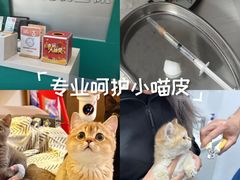 -博特宠物医院24h犬猫全科.骨科·异宠