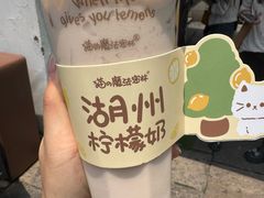 柠檬奶-猫的魔法密林(衣裳街店)