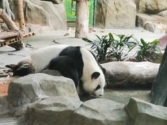 -灵玲国际马戏城