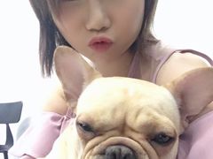 -柯斗斗主题餐厅·狗咖·围炉煮茶·茶饮(国瑞升平里店)