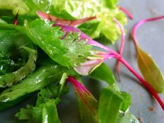 -上海和平饭店-华懋阁 The Cathay Room