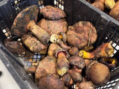 -草墩罗非鱼庄•野生菌•腊排骨(七星街上段店)