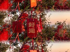 -莲花山观景台