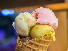 -九寸钉自助·炭火烤肉烧烤(欧乐时尚广场店)