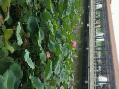 -南戴河国际娱乐中心