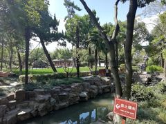 景点-朱家角课植园