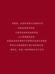 -1027活动策划·创意求婚·宴会派对