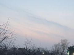 -祥源·阜阳生态乐园