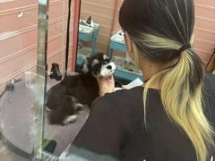 -FAELING PETS美天灵宠物(合生汇店)