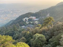 -缙云山景区