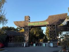 -溱湖国家湿地公园