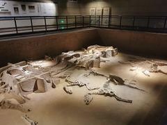 -洛阳周王城天子驾六博物馆