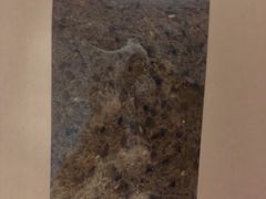 -Dough&Joe团憩(瑞虹天地月亮湾店)