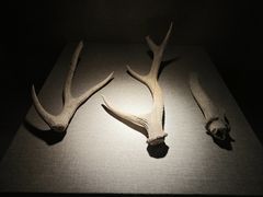 -南越王博物院(王宫展区)