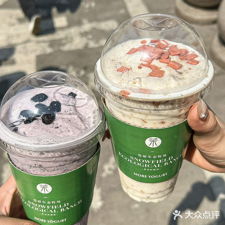 在泉州能让我连续喝一周的也只有茉酸奶了🔥