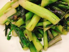 清炒菜苔-九头鸟酒家(四道口店)