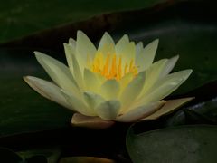 -苏州太湖湖滨国家湿地公园
