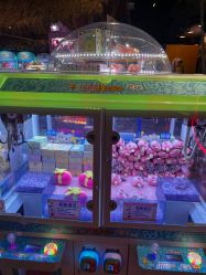 -卡通尼·Safari非洲探索乐园·生日会(金桥国际商业广场店)