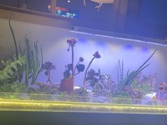 -街角等你.大连海鲜烧烤.经典铁板海鲜串(西安路店)