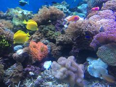 -成都浩海立方海洋公园