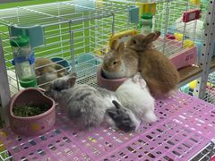 -三旗百汇商品城