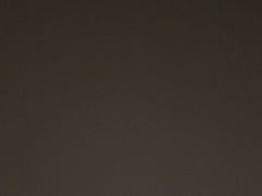 -团子君寿司·茶