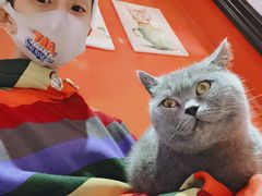 -猫色咖啡·猫咖