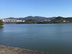 -立新湖公园