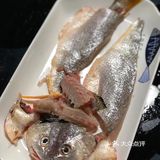 白灼黄鱼  轻烫片刻 鲜美细腻 原汁原味