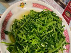 鸡油炒豆苗-细记港九宵夜大牌档(南京西路丰盛里店)
