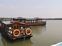 -上海海湾国家森林公园