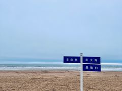 -日照海滨国家森林公园