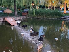 -西海子公园