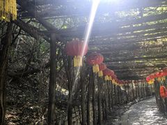 -井塘古村