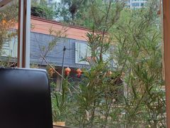 -巴蜀风月·聚会团建·生日宴(宝安店)