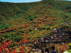 -大围山国家森林公园
